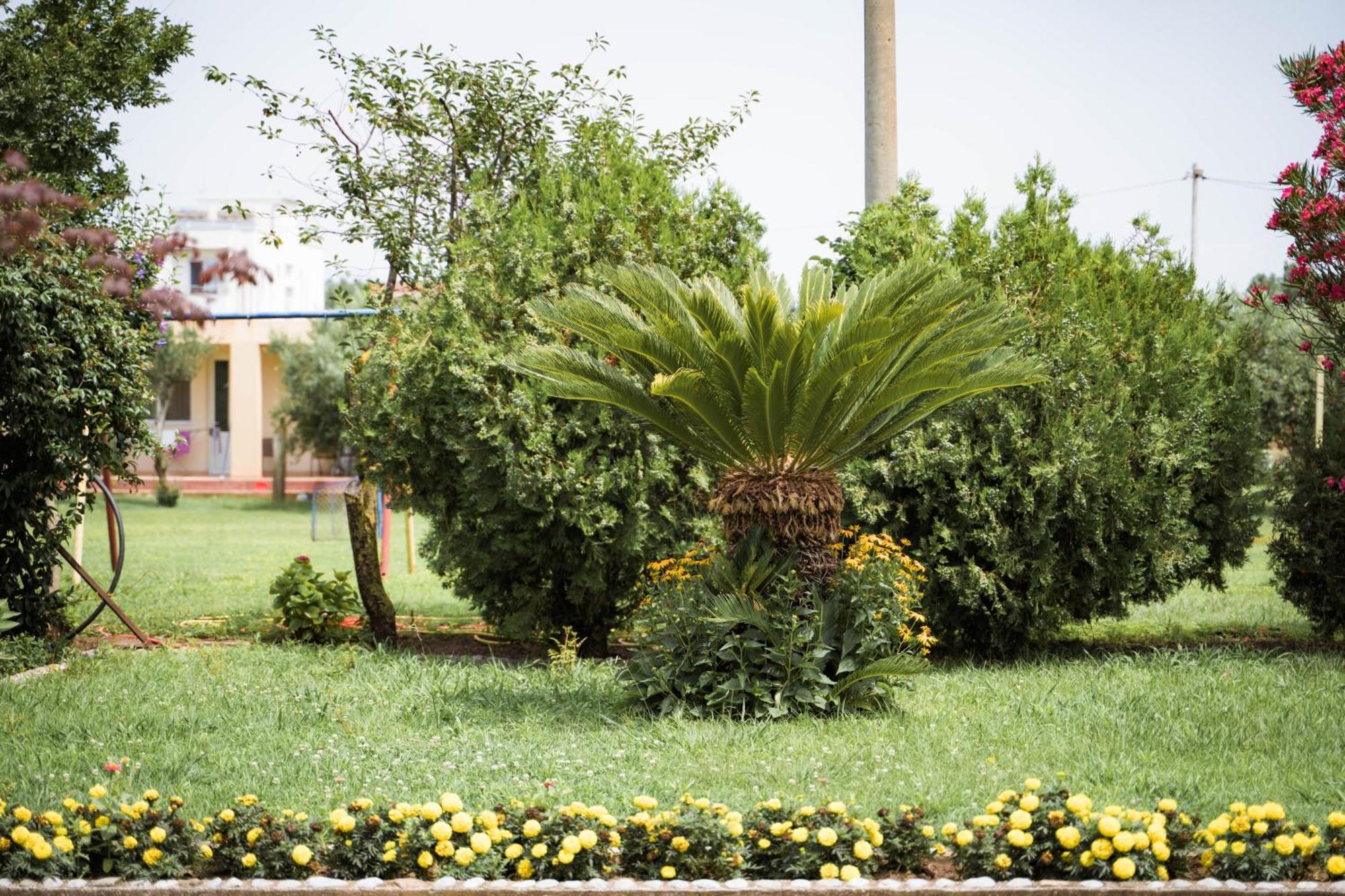 Apartments Rudaj Ulcinj Ngoại thất bức ảnh